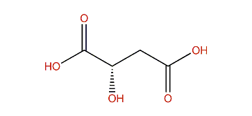 (S)-2-Hydroxysuccinic acid